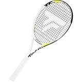 Tecnifibre TF-X1 300 L2 tennis racket Cene