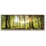  Slika - Daylight 150x50 U prirodnom drvenom okviru | shoptok.hr