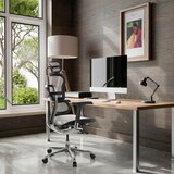 MID.YOU Pisarniški Stol Ergohuman I, Svetlo Siva | Shoptok.si