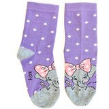 Koly Socks Slonica čarape Cene