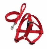 Iguana Komplet 15mm gurtna (oko+grud) | ePonuda.com