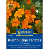 KIEPENKERL Žametnica z malimi cvetovi "Luna Orange" - 1 pkt. Cene