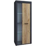 MID.YOU VITRINA, medeni hrast, antracit | Shoptok.si