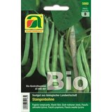 AUSTROSAAT Bio navadni fižol "Neckarkönigin" Cene