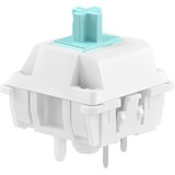 Glorious Gaming Lynx Linear Mechanical Switches - 36 Pieces | shoptok.hr