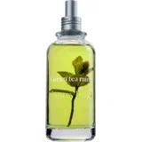 Organska sveža dišava Tea & Mint - 200 ml