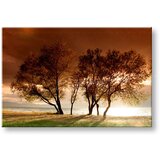  Slike na platnu drveće (moderne slike na platnu) | ePonuda.com