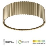  Forma LED plafonska lampa F2095-62P SG Cene