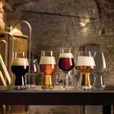 LUIGI BORMIOLI Birrateque kozarec za pivo Seasonal 750ml / steklo, (5000267694) | Shoptok.si