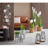 Ambia Home STENSKA DEKORACIJA | Shoptok.si