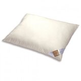 Odeja VZGLAVNIK BAMBOO EXTRA SOFT 50X70 CM Cene