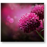  Slike na platnu roze CVEĆE_149-11 (moderne slike na platnu) | ePonuda.com