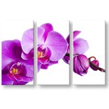  Slike na platnu cveće (moderne slike na platnu) | ePonuda.com