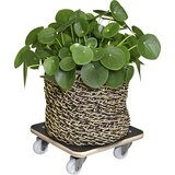 Wagner Vsestranska transportna plošča MaxiGRIP GH 1350, DxŠ 290 x 290 mm, nosilnost 200 kg | Shoptok.si