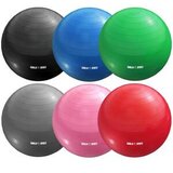 Gorilla Sports Pilates lopta 65 cm siva Cene