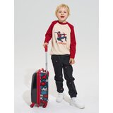 Sinsay Pamučne loose majice s dugim rukavima, paket od 2 kom Spider-Man | shoptok.hr
