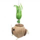  Igračka za papagaje kokos sa kanapom 35 cm | ePonuda.com