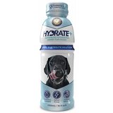 Macahl Animal Health oralade hydrate plus dog - tečna veterinarska dijeta za pse 500ml Cene