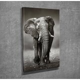 Opviq slika na platnu 30x40cm | ePonuda.com