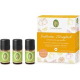 PRIMAVERA Organski mirisni set - citrusna sreća Cijene