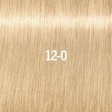 Schwarzkopf Professional IGORA Royal Highlifts barvna krema za hladne blond odtenke odtenek 12-0 60 ml | Shoptok.si