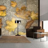  Tapeta - Harbinger of autumn 350x270 Cijene