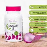 Malinca kolagen up 5 x Cene