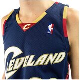 Mitchell & Ness Dres NBA Cavaliers 2008 Lebron James Swingman Alternate Jersey Navy XL | Shoptok.si