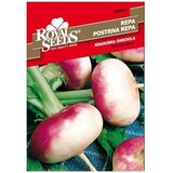  Repa Kranjska Okrugla Royal Seeds | Eponuda.ba