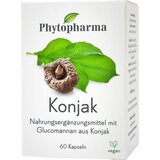  Konjak | Shoptok.si