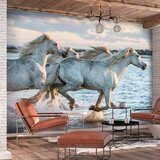  Samoljepljiva foto tapeta - Wild Race 392x280 | shoptok.hr