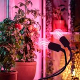 Fleksibilna stona lampa sa klipsom za gajenje biljaka PLANTY 2xE27/30W/230V crna | Eponuda.com