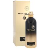 Montale Spicy Aoud 100 ml parfumska voda unisex Cene