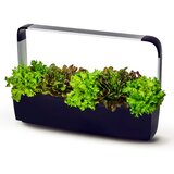 Tregren Pametni kuhinjski vrt T12 - črn, (21336501) | Shoptok.si