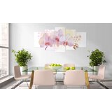  Slika - Finessed orchid 200x100 | shoptok.hr