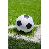 Darymex Odeja iz flisa 100x150 Nogomet, (21888215) | Shoptok.si