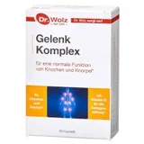 Gelenk Komplex kapsule