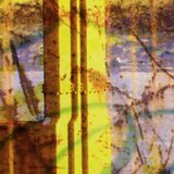  Umjetničke slike Golden Sunset / Tom Loris 011A3 | shoptok.hr
