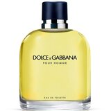 Dolce & Gabbana Pour Homme Eau de Toilette 200 ml | shoptok.hr
