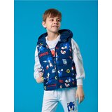 Sinsay Prsluk Sonic The Hedgehog | shoptok.hr