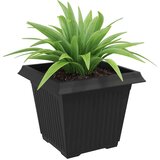  Kvadratna saksija za cvijeće 6 pcs Crna 43 x 43 x 33 5 cm - Crna 43 x 43 x 33 5 cm 6 | shoptok.hr