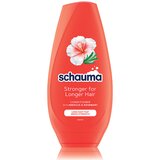 Schauma longer hair regenerator 250ml | ePonuda.com
