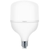 Braytron LED SIJALICA E27 T80 20W NW 4000K PRIRODNO BELA Cene
