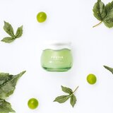 Frudia Green Grape hidratantna gel krema za sužavanje pora 55 g | shoptok.hr