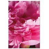  Slika - Blossom of Beauty (1-part) - Pink Peony Flower Embraced by Nature 60x90 | shoptok.hr