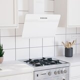 vidaXL zidna napa 60 cm od čelika i kaljenog stakla bijela cijene