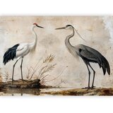  Foto tapeta - Birds from an old engraving - vintage-style illustration depicting a heron and a crane 450x315 Standard | shoptok.hr