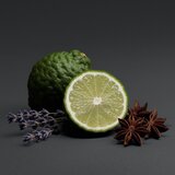SCENT OF STARS Sirius Wild Nº 9 parfumska voda za moške 100 ml | Shoptok.si