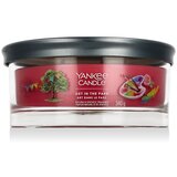 Yankee Candle Signature 5-Wick Tumbler vonná sviečka Art in the Park 340 g | shoptok.hr