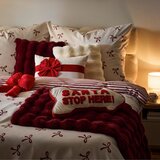 Mömax Okrasna Blazina Santa | Shoptok.si